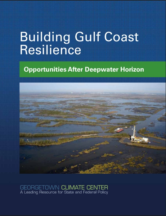 Building Gulf Coast Resilience: Opportunities After Deepwater Horizon